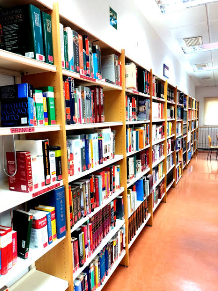 Éxito Literario: Novela, Literatura Infantil y Manga Dominaron los Préstamos en la Biblioteca Municipal en el Primer Semestre de 2026 3 Éxito Literario: Novela, Literatura Infantil y Manga Dominaron los Préstamos en la Biblioteca Municipal en el Primer Semestre de 2026 3