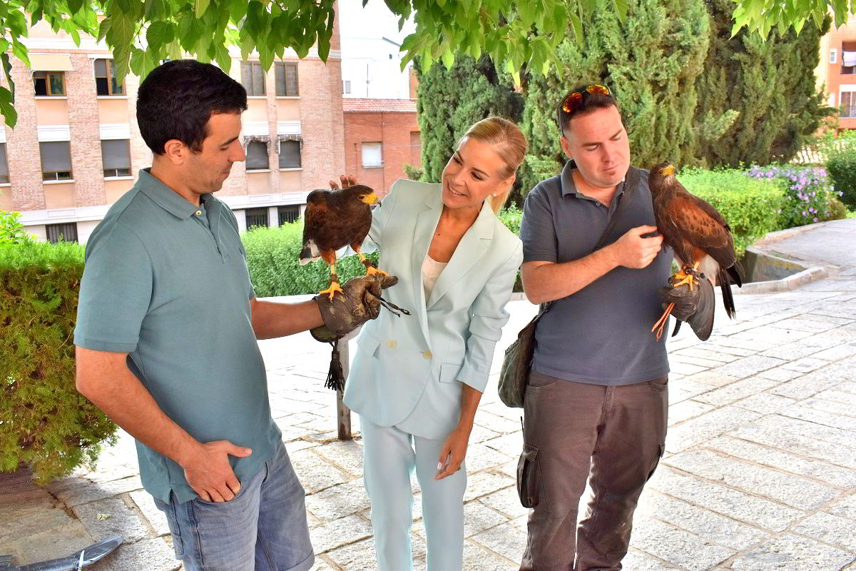 Puertollano Implementa Cetrería Ecológica: Águilas y Halcones Implementarán un Control Natural de Palomas y Estorninos 1
