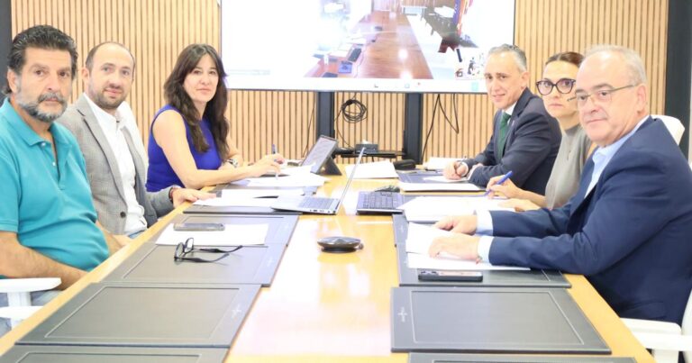 Comisión de Seguimiento de las obras del Paseo del Bosque de Puertollano