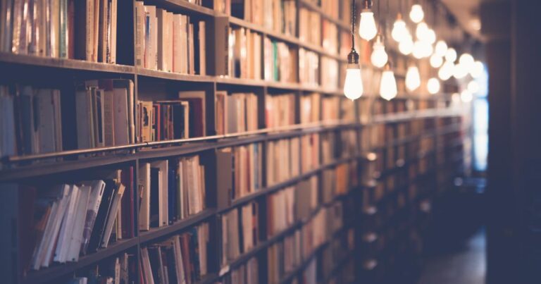 Biblioteca pública de Castilla-La Mancha durante las actividades del Día de las Bibliotecas